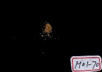 Gold Sand Collection Image, Figure 2, Total 3 Figures